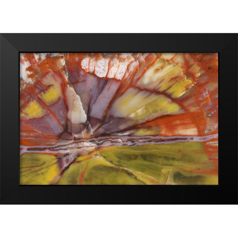 USA, Arizona Close-up of petrified wood Black Modern Wood Framed Art Print by Kirkland, Dennis
