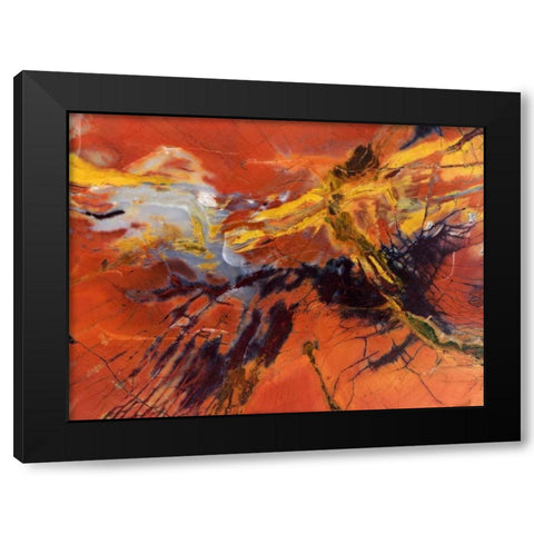 USA, Arizona Close-up of petrified wood Black Modern Wood Framed Art Print with Double Matting by Kirkland, Dennis