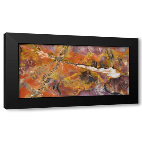 USA, Arizona Close-up of petrified wood Black Modern Wood Framed Art Print by Kirkland, Dennis