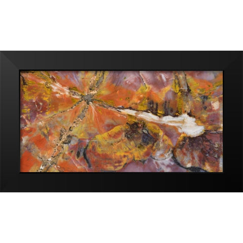 USA, Arizona Close-up of petrified wood Black Modern Wood Framed Art Print by Kirkland, Dennis