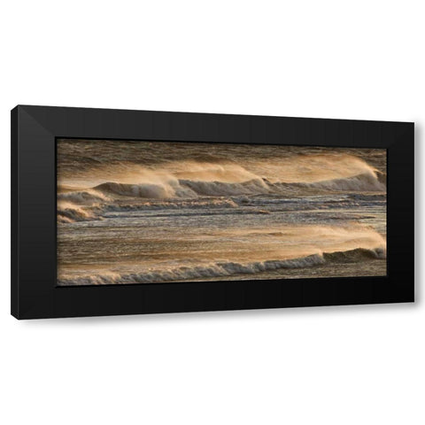AK, Kachemak Bay Breaking waves at sunset Black Modern Wood Framed Art Print with Double Matting by Grall, Don