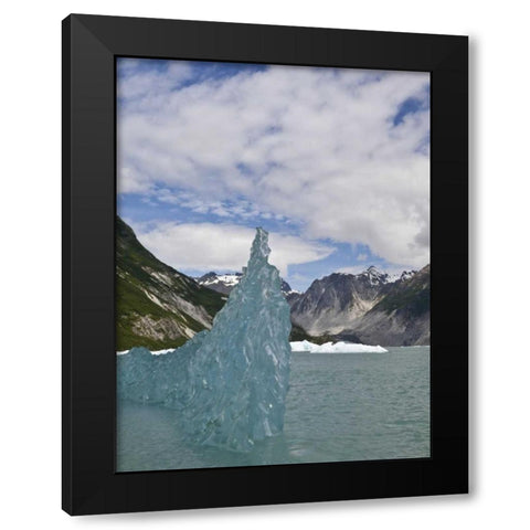 AK, Glacier Bay NP Floating iceberg Black Modern Wood Framed Art Print with Double Matting by Paulson, Don