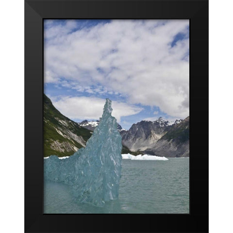 AK, Glacier Bay NP Floating iceberg Black Modern Wood Framed Art Print by Paulson, Don