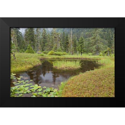 Alaska, Admiralty Island Pond and forest Black Modern Wood Framed Art Print by Paulson, Don