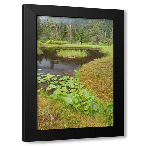 Alaska, Admiralty Island Pond and forest Black Modern Wood Framed Art Print with Double Matting by Paulson, Don