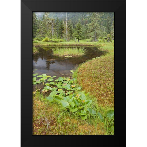 Alaska, Admiralty Island Pond and forest Black Modern Wood Framed Art Print by Paulson, Don
