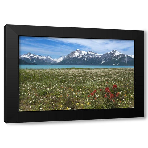 AK, Glacier Bay NP Strawberry and red paintbrush Black Modern Wood Framed Art Print with Double Matting by Paulson, Don