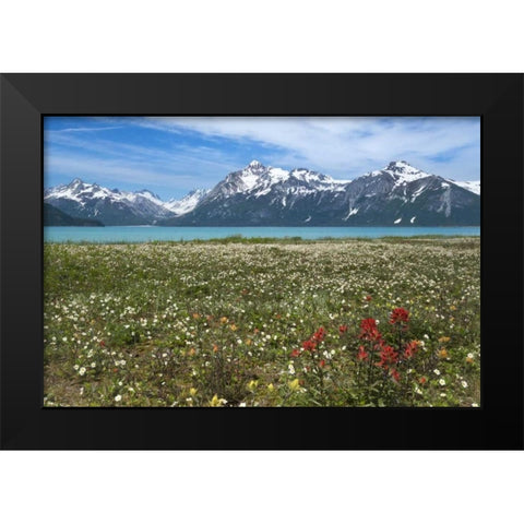 AK, Glacier Bay NP Strawberry and red paintbrush Black Modern Wood Framed Art Print by Paulson, Don