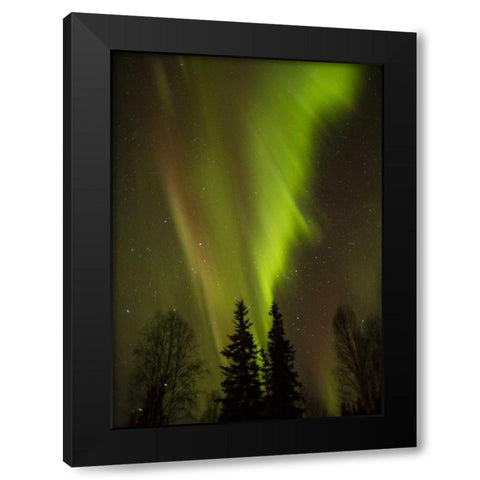 Alaska, Chena Hot Springs Aurora borealis Black Modern Wood Framed Art Print with Double Matting by Illg, Cathy and Gordon