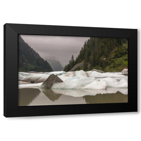 Alaska, Tongass NF Icebergs in Shakes Lake Black Modern Wood Framed Art Print by Illg, Cathy and Gordon