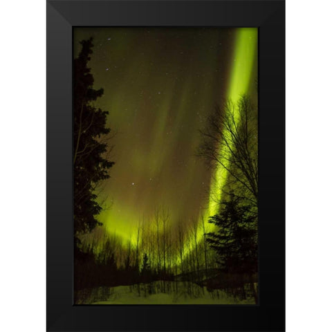 Alaska, Chena Hot Springs Aurora borealis Black Modern Wood Framed Art Print by Illg, Cathy and Gordon