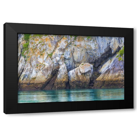 Alaska, Glacier Bay NP Cliff and seawater Black Modern Wood Framed Art Print with Double Matting by Paulson, Don