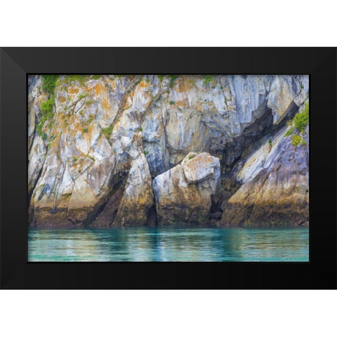 Alaska, Glacier Bay NP Cliff and seawater Black Modern Wood Framed Art Print by Paulson, Don