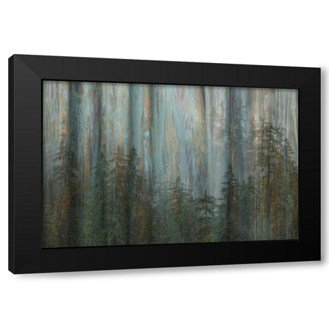 AK, Misty Fiords NM Abstract of trees and forest Black Modern Wood Framed Art Print by Paulson, Don