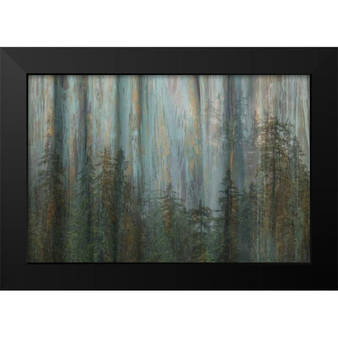 AK, Misty Fiords NM Abstract of trees and forest Black Modern Wood Framed Art Print by Paulson, Don