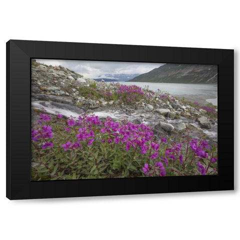 Alaska, Glacier Bay NP Small stream cascade Black Modern Wood Framed Art Print by Paulson, Don