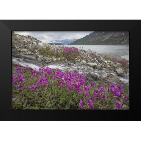 Alaska, Glacier Bay NP Small stream cascade Black Modern Wood Framed Art Print by Paulson, Don
