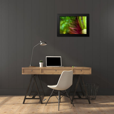AK, Lake Clark NP Abstract of fishing flies Black Modern Wood Framed Art Print by Paulson, Don