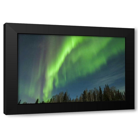 USA, Alaska Aurora borealis over forest Black Modern Wood Framed Art Print by Illg, Cathy and Gordon