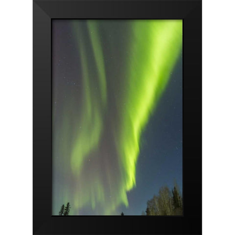 USA, Alaska Aurora borealis over forest Black Modern Wood Framed Art Print by Illg, Cathy and Gordon