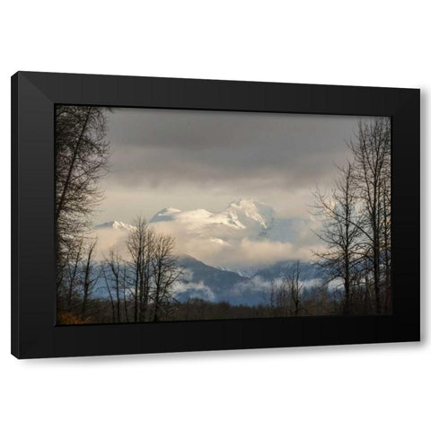 Alaska, Chilkat River Valley Snowy mountains Black Modern Wood Framed Art Print by Illg, Cathy and Gordon
