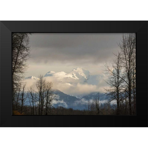 Alaska, Chilkat River Valley Snowy mountains Black Modern Wood Framed Art Print by Illg, Cathy and Gordon