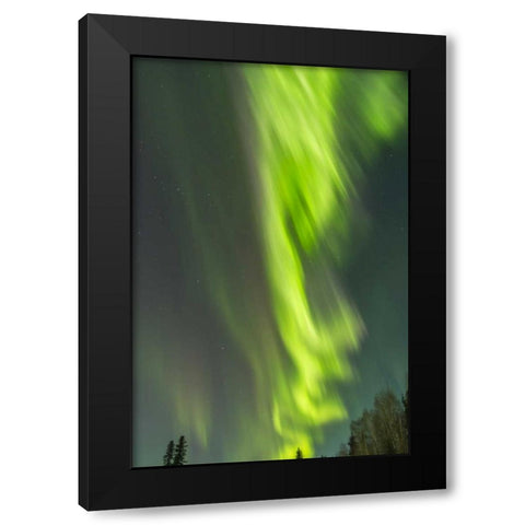 Alaska, Central Alaska, Aurora, Northern Lights Black Modern Wood Framed Art Print by Illg, Cathy and Gordon