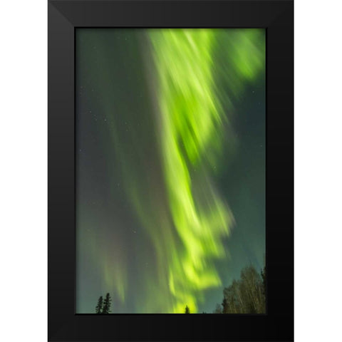 Alaska, Central Alaska, Aurora, Northern Lights Black Modern Wood Framed Art Print by Illg, Cathy and Gordon