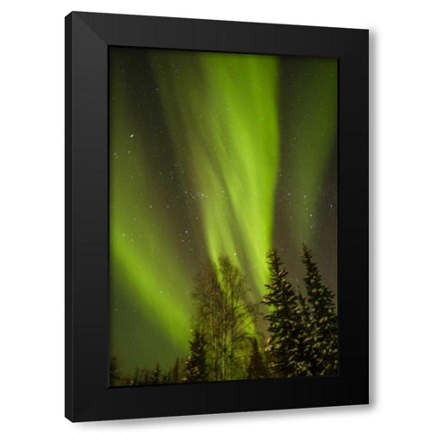 Alaska, Central Alaska, Aurora, Northern Lights Black Modern Wood Framed Art Print with Double Matting by Illg, Cathy and Gordon