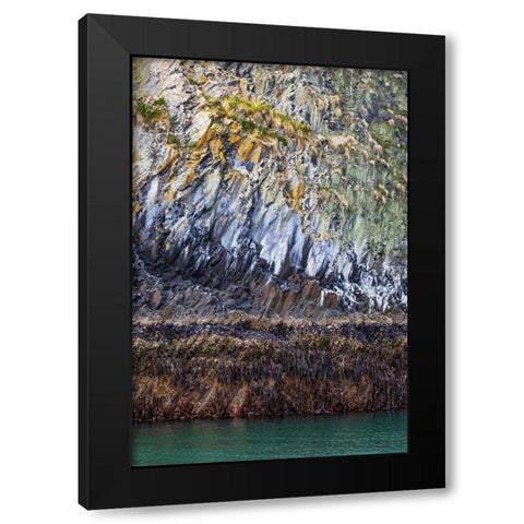 Alaska-Sitka Rocky cliffs of St Lazaria Island  Black Modern Wood Framed Art Print by Jaynes Gallery