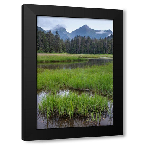 Alaska-Sitka Meadow at high tide in Tongass National Forest  Black Modern Wood Framed Art Print with Double Matting by Jaynes Gallery