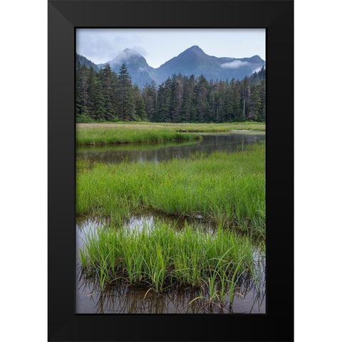 Alaska-Sitka Meadow at high tide in Tongass National Forest  Black Modern Wood Framed Art Print by Jaynes Gallery