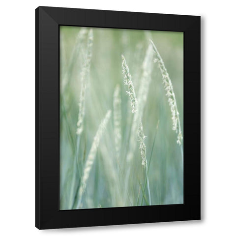 Alaska-Tongass National Forest Abstract of beach rye grass  Black Modern Wood Framed Art Print with Double Matting by Jaynes Gallery