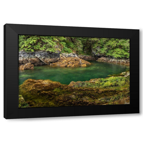 Alaska-Chichagof Island Basket Creek scenic  Black Modern Wood Framed Art Print with Double Matting by Jaynes Gallery