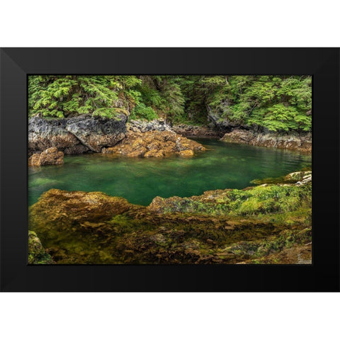 Alaska-Chichagof Island Basket Creek scenic  Black Modern Wood Framed Art Print by Jaynes Gallery