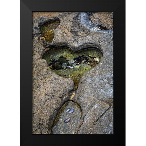 Alaska-Chichagof Island-Basket Bay Heart-shaped pool in rock  Black Modern Wood Framed Art Print by Jaynes Gallery