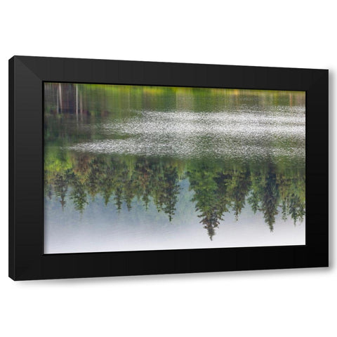 Alaska-Sitka Forest reflection in Swan Lake  Black Modern Wood Framed Art Print with Double Matting by Jaynes Gallery
