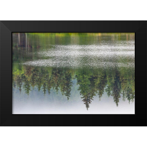 Alaska-Sitka Forest reflection in Swan Lake  Black Modern Wood Framed Art Print by Jaynes Gallery