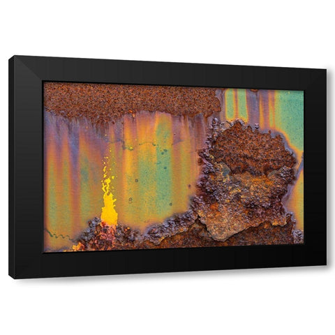 Alaska-Tongass National Forest Rusted metal from an abandoned gold mine  Black Modern Wood Framed Art Print by Jaynes Gallery