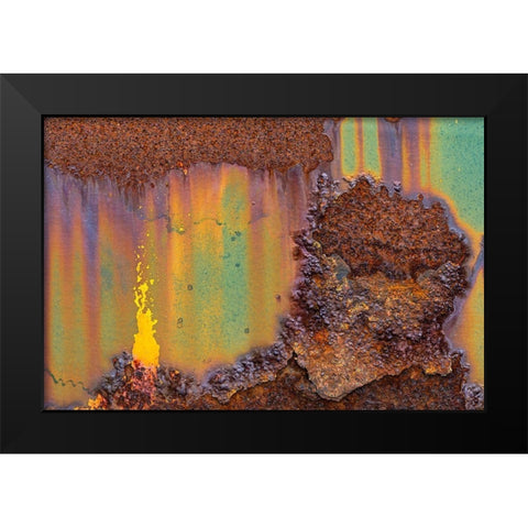 Alaska-Tongass National Forest Rusted metal from an abandoned gold mine  Black Modern Wood Framed Art Print by Jaynes Gallery