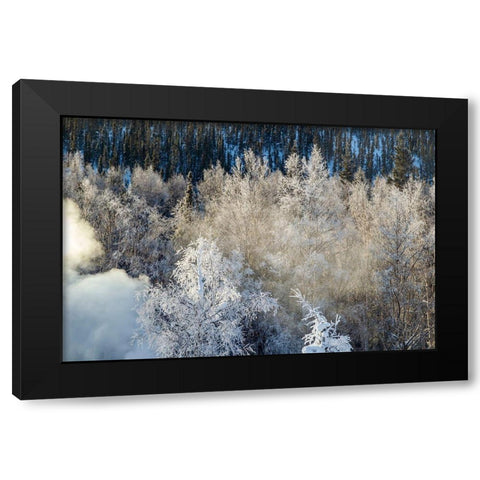 Alaska Fog and frosted trees in winter Black Modern Wood Framed Art Print with Double Matting by Jaynes Gallery
