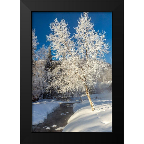 Alaska Stream and frosted trees in winter Black Modern Wood Framed Art Print by Jaynes Gallery