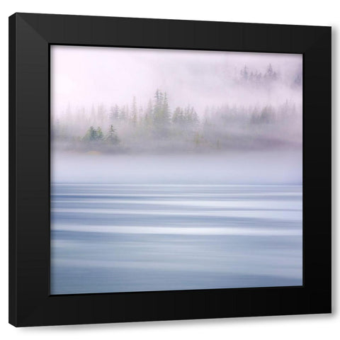 Alaska-Endicott Arm Foggy morning at Fords Terror Black Modern Wood Framed Art Print by Jaynes Gallery