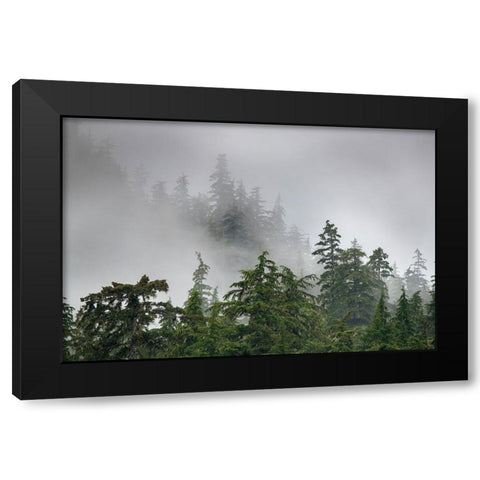 Usa-Alaska Mists-fog and rain for the coastal temperate rainforest in Southeast Alaska Black Modern Wood Framed Art Print with Double Matting by Sederquist, Betty
