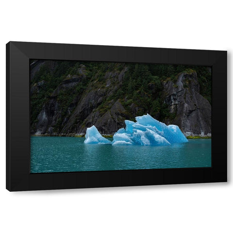 Usa-Alaska This perfect iceberg floats in the blue waters of Endicott Arm Black Modern Wood Framed Art Print by Sederquist, Betty