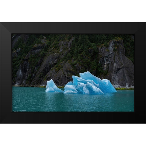 Usa-Alaska This perfect iceberg floats in the blue waters of Endicott Arm Black Modern Wood Framed Art Print by Sederquist, Betty
