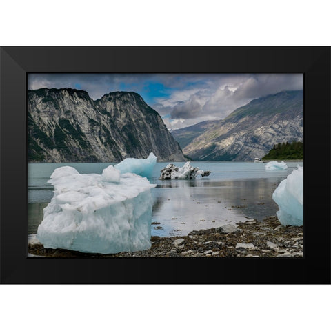 Beached icebergs from nearby McBride Glacier sit on a Muir Inlet beach. Black Modern Wood Framed Art Print by Sederquist, Betty