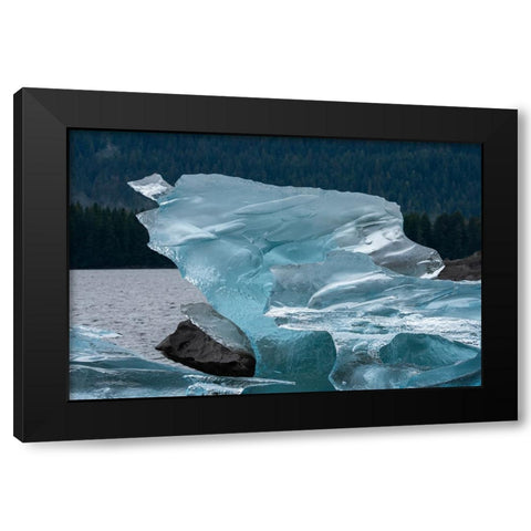 Crystalline iceberg shines in Endicott Arm. Black Modern Wood Framed Art Print with Double Matting by Sederquist, Betty