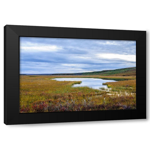USA- Alaska- Noatak National Preserve. Wetlands in the arctic tundra. Black Modern Wood Framed Art Print with Double Matting by Norrsell, Fredrik