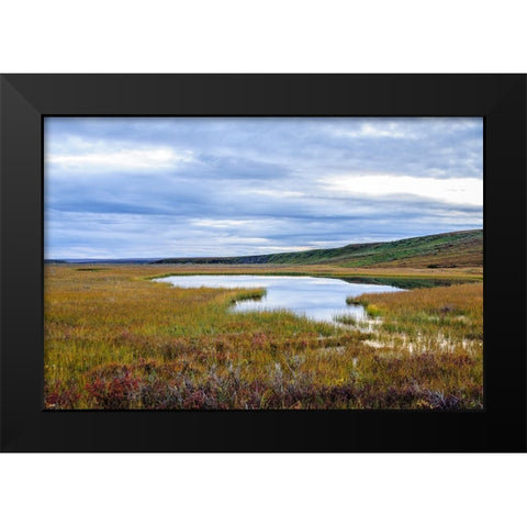 USA- Alaska- Noatak National Preserve. Wetlands in the arctic tundra. Black Modern Wood Framed Art Print by Norrsell, Fredrik